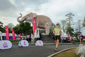 BIB: 
                            <button type="button" onclick="openModal(26528411)" class="btn btn-primary btn-sm float-right btn-popup" data-toggle="modal" data-target=".modal-high-quality">
                        <i class="fas fa-shopping-cart"></i> Add to Cart
                    </button>
                                            <button type="button" onclick="isThisMe(26528411, true)" class="btn btn-success btn-sm float-right btn-popup btn-isme hidden" data-toggle="tooltip" data-placement="bottom" title="นี่คือรูปของคุณใช่ไหม คลิกที่นี่เพื่อเอาเข้าอัลบั้ม">
                        <i class="fas fa-plus"></i> Add to album
                    </button>
                    <button type="button" onclick="isThisMe(26528411, false)" class="btn btn-warning btn-sm float-right btn-popup btn-isnotme hidden">
                        <i class="fas fa-ban"></i> Remove from album
                    </button>